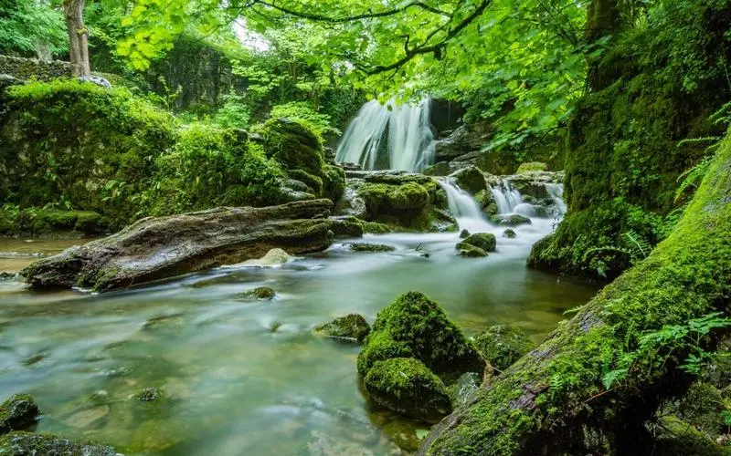 高标准智慧